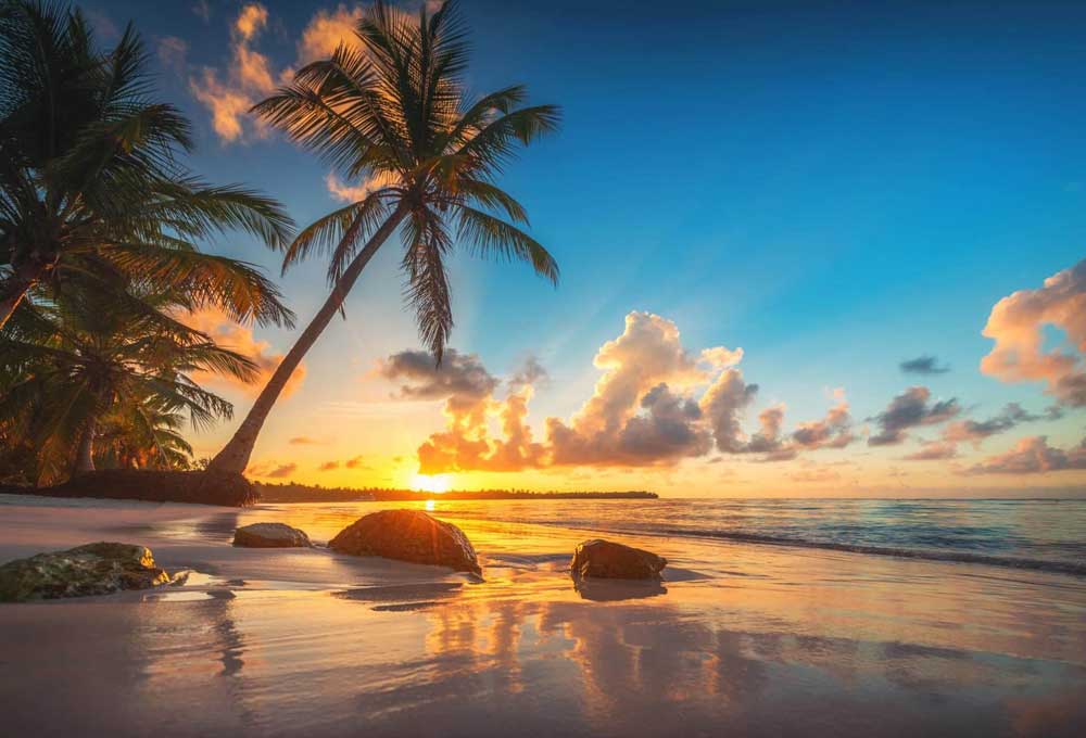 Best Restaurants in Coson Beach